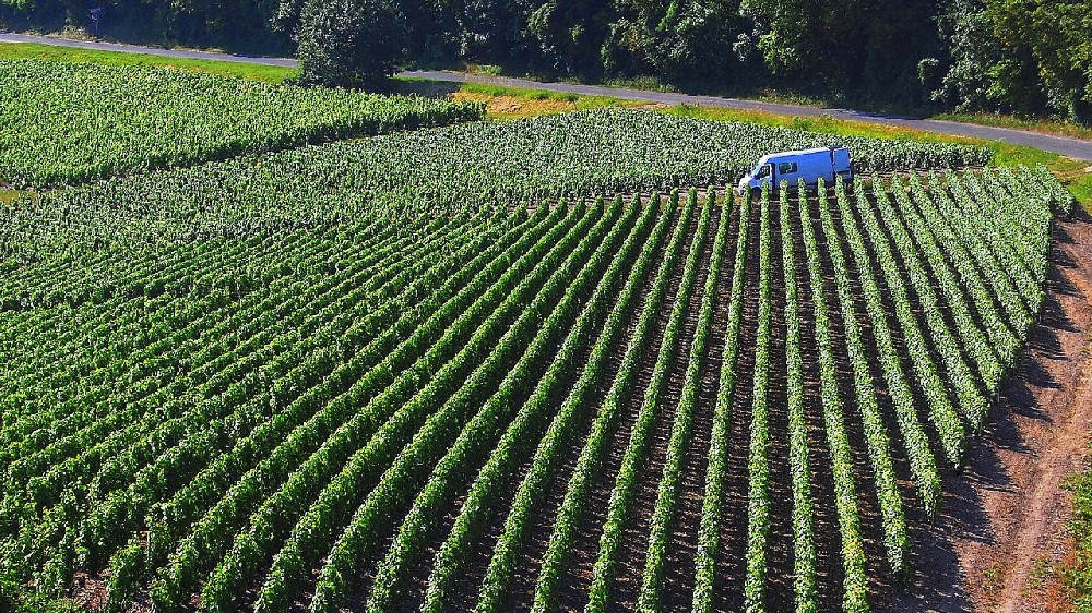 农业机器人助力高标准农田：自动化作业的新革命