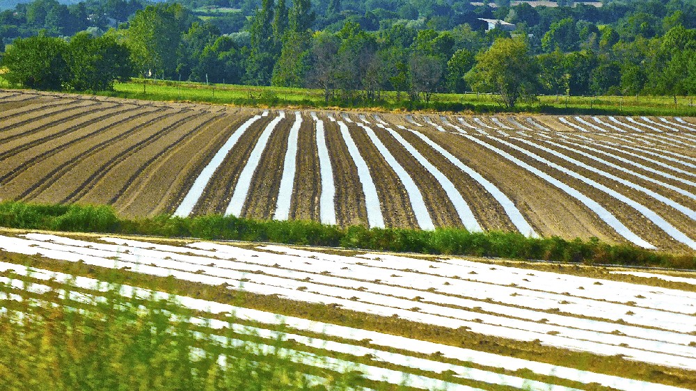 智能化灌溉系统探究：为农田提供定制水资源管理的最新技术