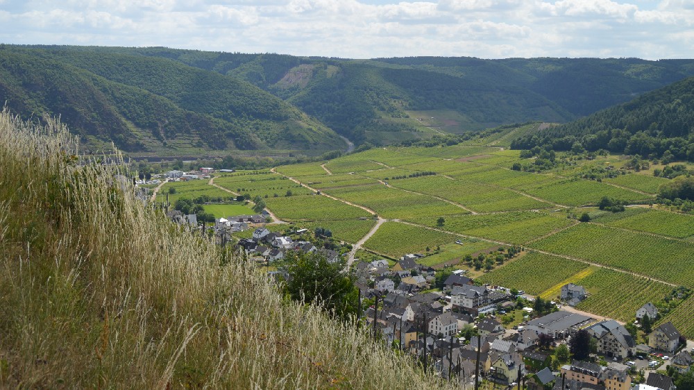 高标准农田建设：土地保护与农业发展的平衡