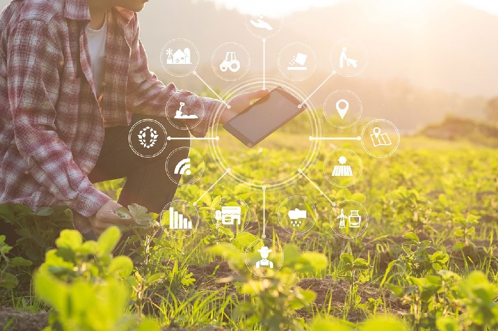 未来农业生态系统：智能化农业的整合与创新
