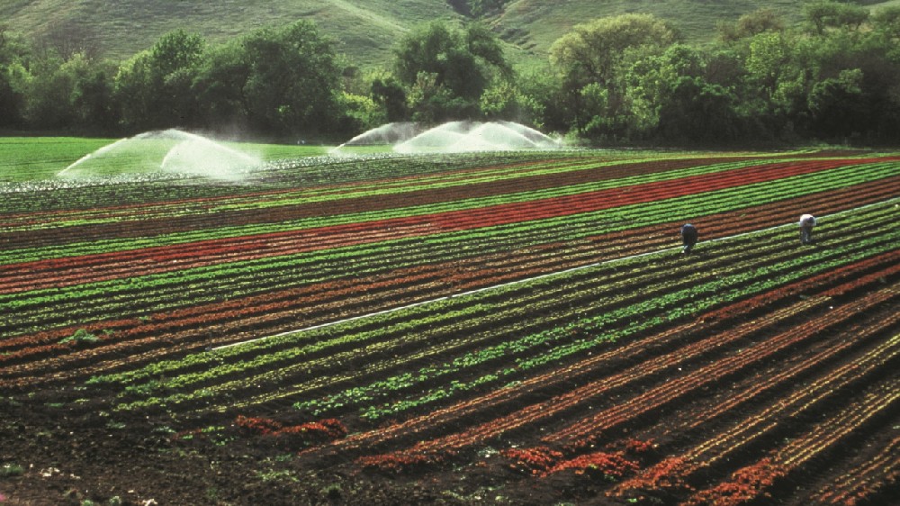 智慧农业水肥一体化如何提升农田肥力？