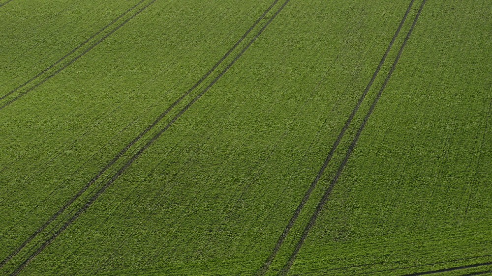 互联网 智慧农业如何推动农田现代化？