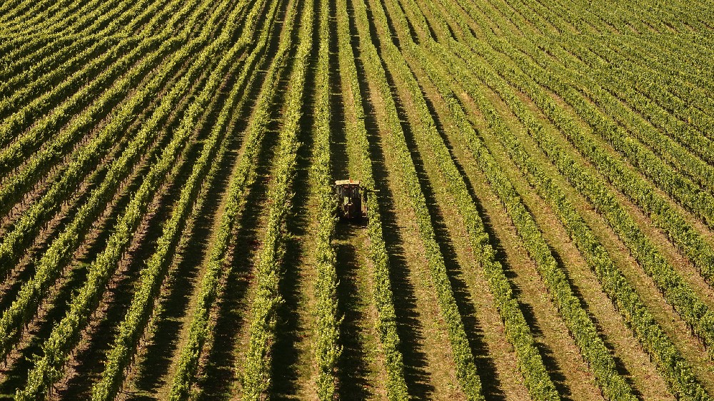 农业机器人助力高标准农田的自动化作业