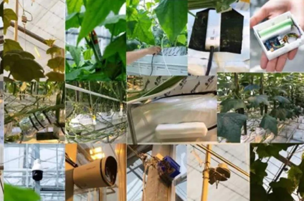 AI病虫害防治系统