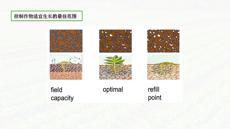 AIOTAGRO茶园物联网解决方案