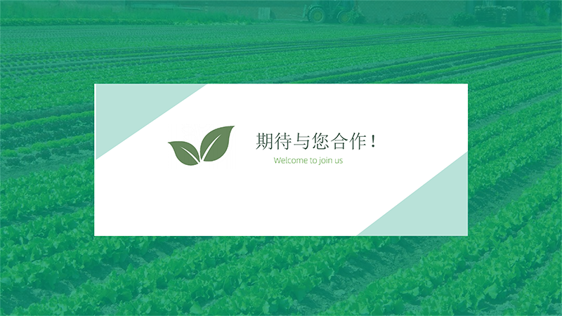 AIOTAGRO茶园物联网解决方案